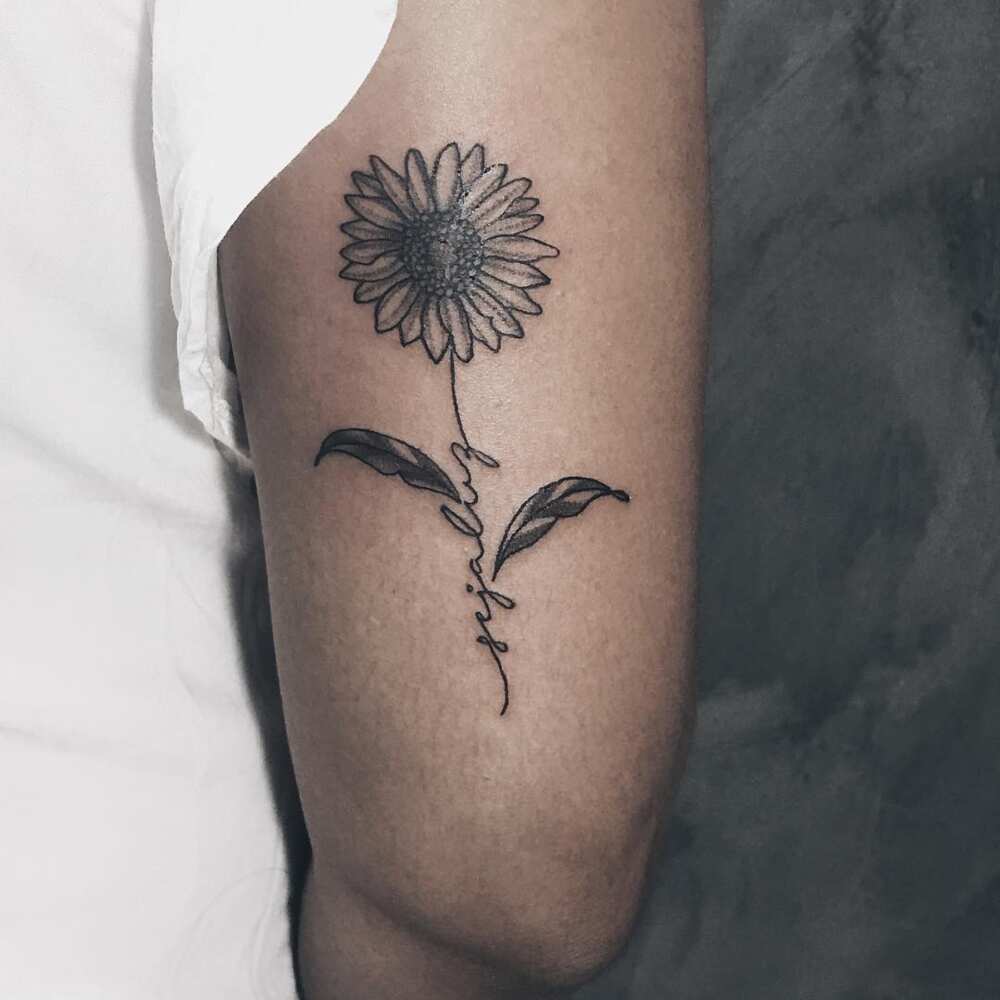 Sunflower outline