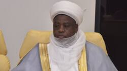 Southern Kaduna killings: This madness must end now - Sultan of Sokoto