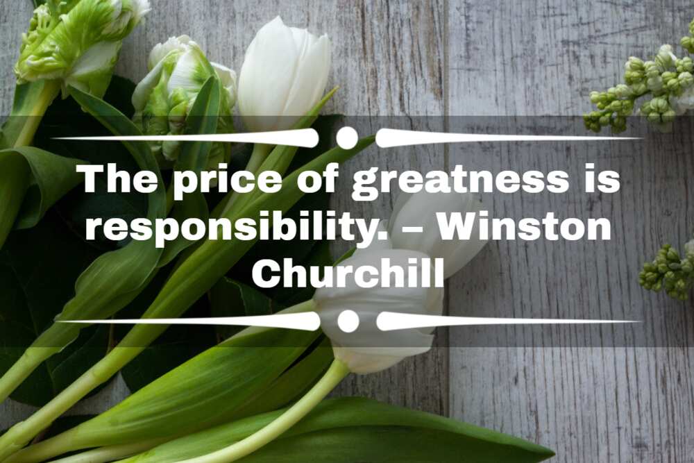 Quotes about being the greatest Quotes about being the greatest