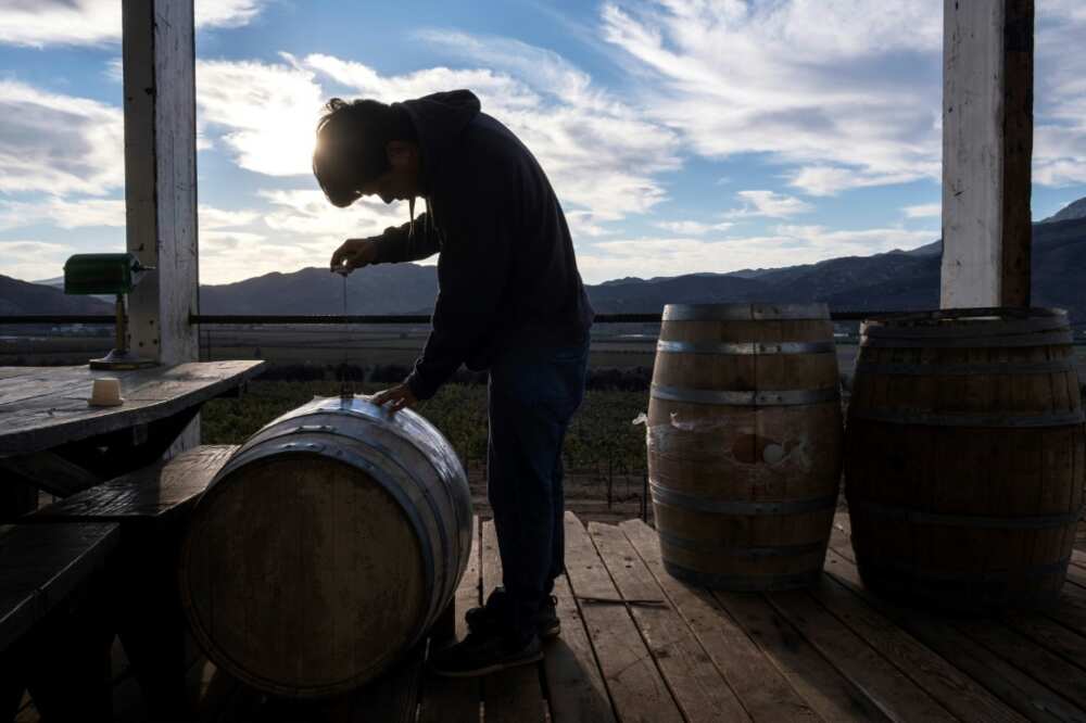 Jorge Osiel Lopez prepares wine barrels at the Anatolia winery in Mexico's Guadalupe Valley