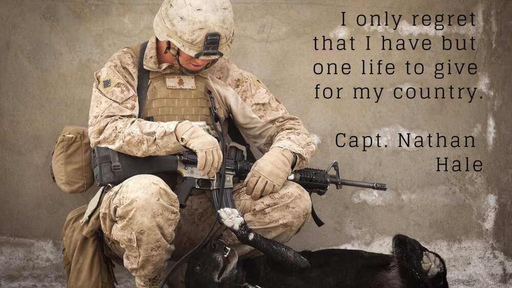 25 Best Inspirational Military Quotes Of All Time