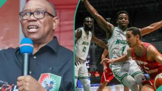 FIBA Afrobasket 2025 Qualifiers: Nigeria’s D’Tigers withdraw over lack of funds, Peter Obi reacts