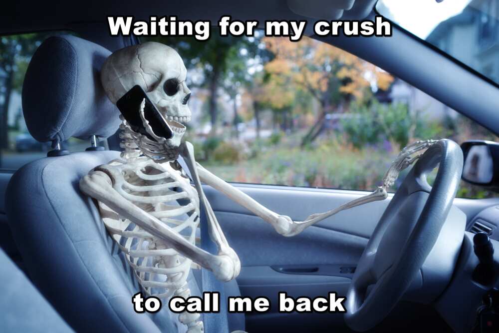 Bone puns Bone puns
