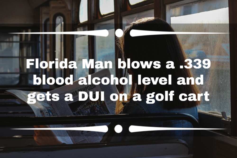 Best Florida Man headlines