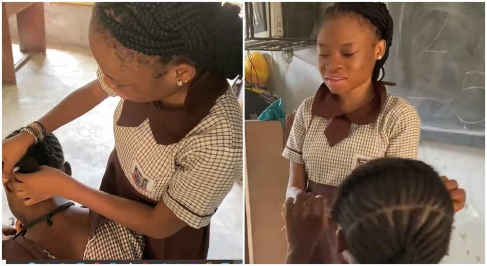 Photos of school girl braiding her mate's hair.