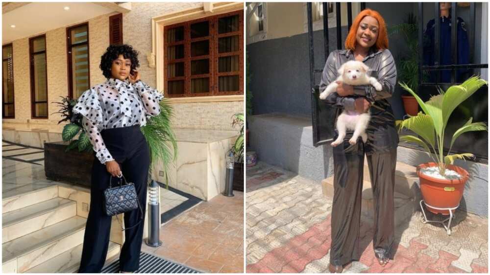 Popular actress rates her dogs over some of her friends