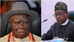 PANDEF leader Edwin Clark calls for Lai Mohammed’s arrest, prosecution, gives reason