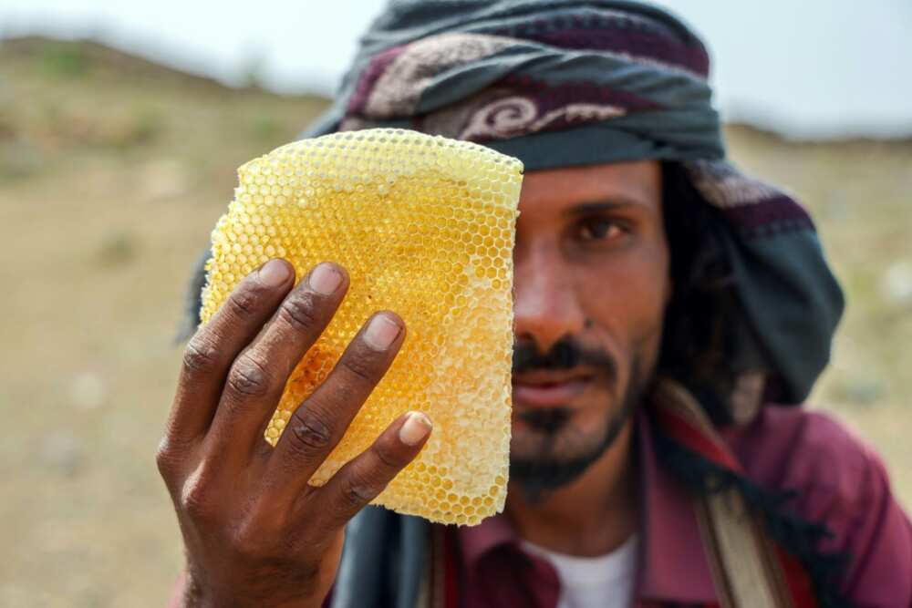 Experts consider Yemeni honey one of the best in the world but "enormous losses" have been inflicted on production since war broke out in 2014, the International Committee of the Red Cross says