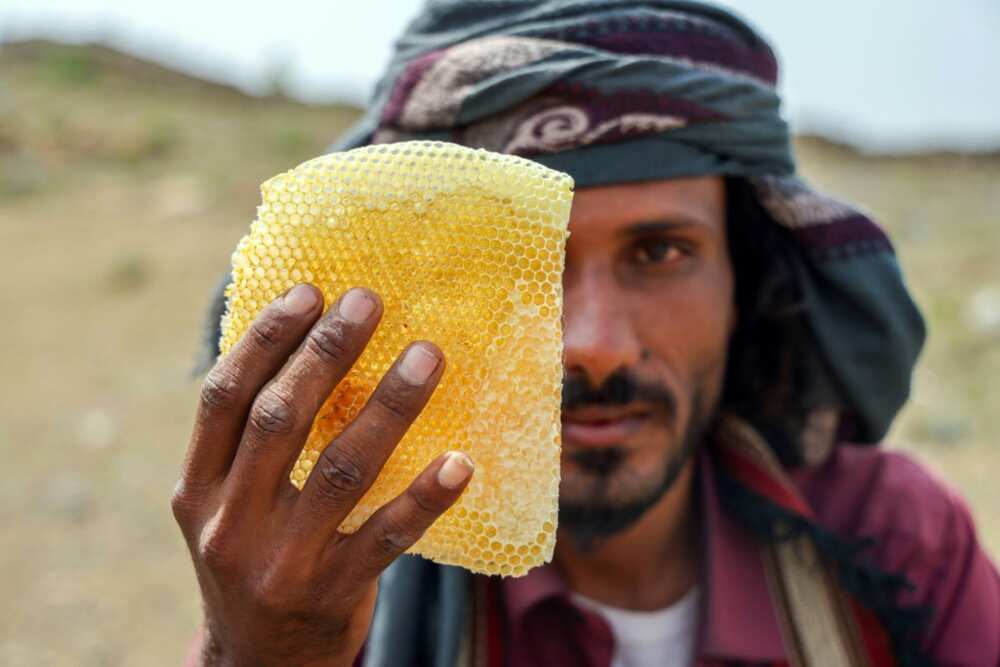 Experts consider Yemeni honey one of the best in the world but "enormous losses" have been inflicted on production since war broke out in 2014, the International Committee of the Red Cross says Experts consider Yemeni honey one of the best in the world but "enormous losses" have been inflicted on production since war broke out in 2014, the International Committee of the Red Cross says