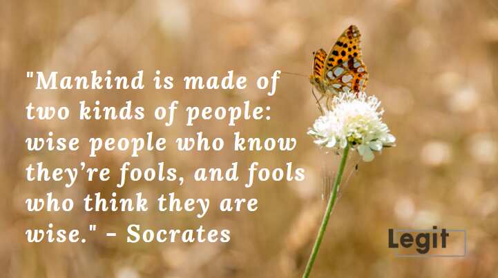 socrates quotes on life