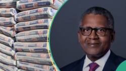 Dangote Cement, MTN shareholders cash out as firms generate N13.94 trillion in revenue