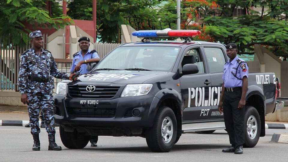 an expository essay on the activities of the nigerian police