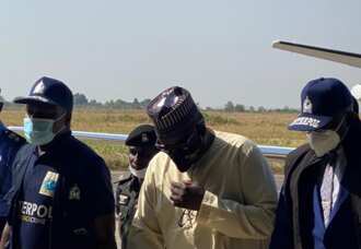 Abdulrasheed Maina collapses in court during trial