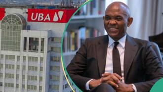 Tony Elumelu's 8 relatives, 4 directors acquire over N1 billion worth of UBA shares