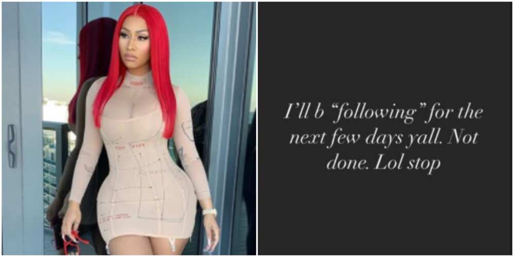 Nicki Minaj reveals she is on a following spree