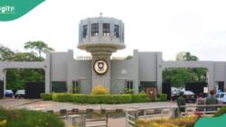 "More damage", Concerns over 750% fee hike at University of Ibadan