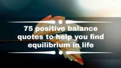 75 positive balance quotes to help you find equilibrium in life