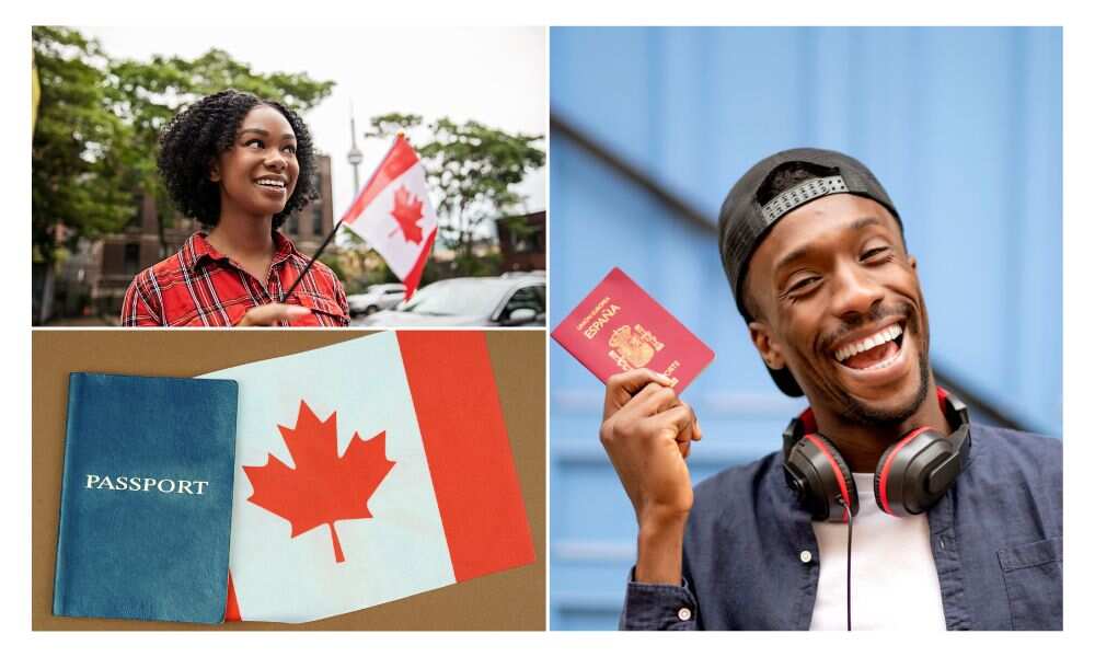 Canada, Visa Start-up Programme, Immigrants