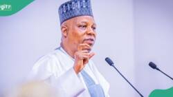 Shettima donates N5m to Al-Hikmah nursing students for presenting him with portrait, video emerges