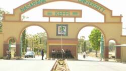 Nasarawa State University courses, admission requirements, and contacts 2022