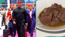 "Goat meat": Man reacts to food served on Air Peace international flight, hatches funny plan