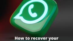 How to recover your Whatsapp text messages: a simple tutorial