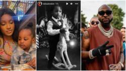 "He looks so much like Imade": Fans react as Davido's baby mama Larrisa celebrates their son at 3