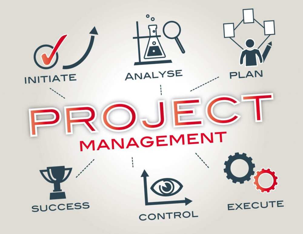 Project management