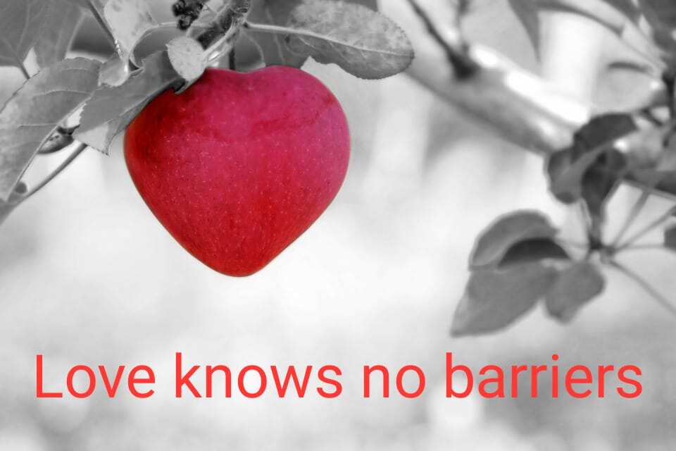 husband quotes husband quotes