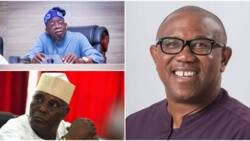 Atiku, Tinubu or Obi: Ex-Lawmaker Shehu Sani Finally Reveals How Nigeria’s Next President Should Emerge
