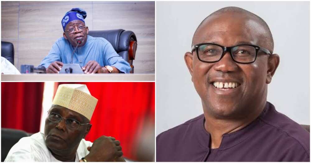 Atiku Abubakar, Bola Tinubu, PDP, APC, 2023 elections, Peter Obi, Labour Party, Abuja, the Association of Nigerian Authors