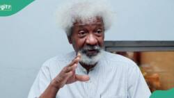 Soyinka speaks on what he hopes to achieve before clocking 100