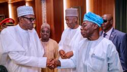 Buhari praises Obasanjo as he sends heartwarming belated birthday message