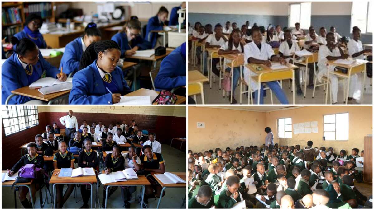 Most Educated Tribe In South Africa