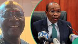 CBN investigation: ‘If it were in China, Emefiele would face firing squad’, Tinubu's aide says