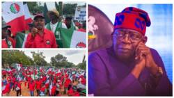 Proposed nationwide strike: NLC agrees to meet FG, says "government is not sincere"