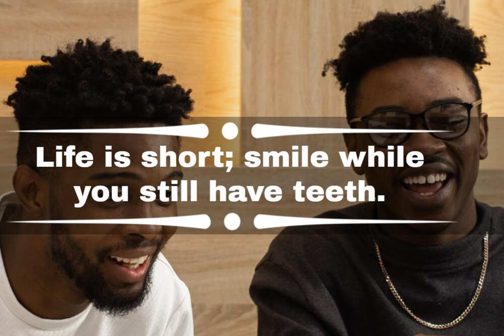 Funny quotes to lighten the mood for when the going gets tough Funny quotes to lighten the mood for when the going gets tough