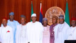 2023 presidency: Buhari speaks on ex-minister becoming his successor