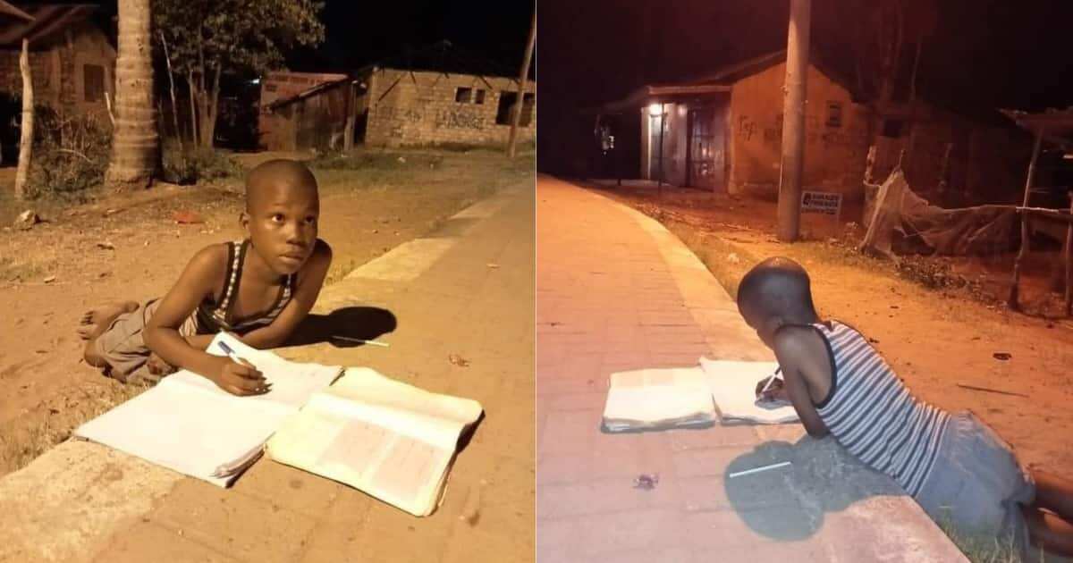 Social media users rally support for young boy spotted doing his homework under street light at night