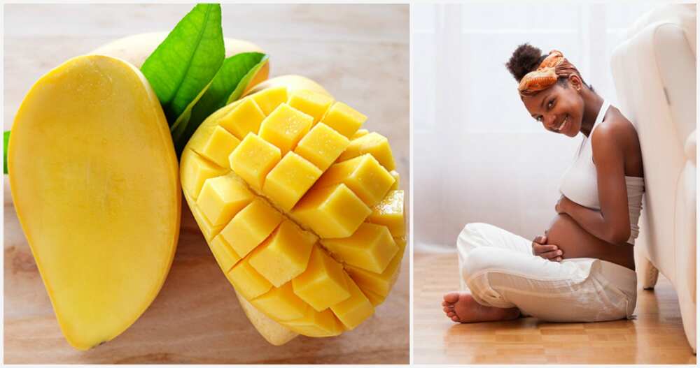 Mango and pregnancy Mango and pregnancy