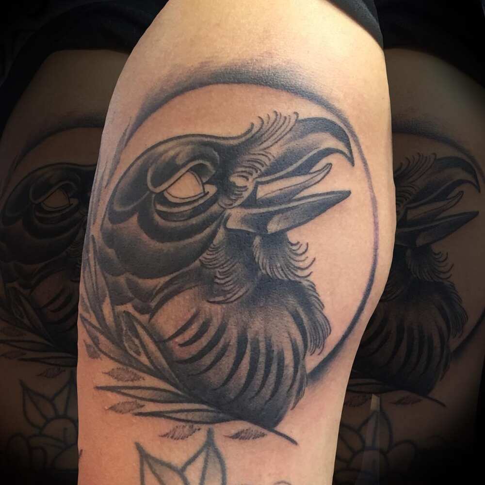 traditional raven head tattoo