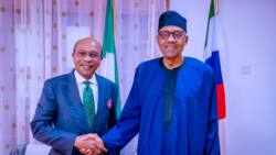 Presidency reveals position on DSS' alleged move to arrest CBN Governor Emefiele over terrorism allegations