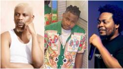 "Wizkid isn't the problem": Oladips rants about lack of love among rappers, Olamide & Reminisce included