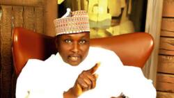Minority leader Doguwa finally speaks on resolving APC crisis after exchanging blows with Murtala Sule