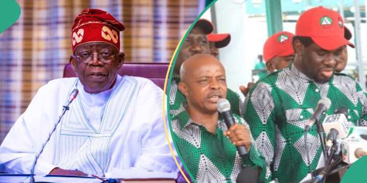 Full List of Agreements Tinubu's Govt Reached with Labour Leaders