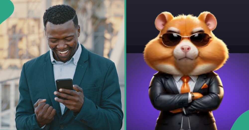 Reactions as Hamster Kombat shares interesting update for Nigerians regarding its airdrops