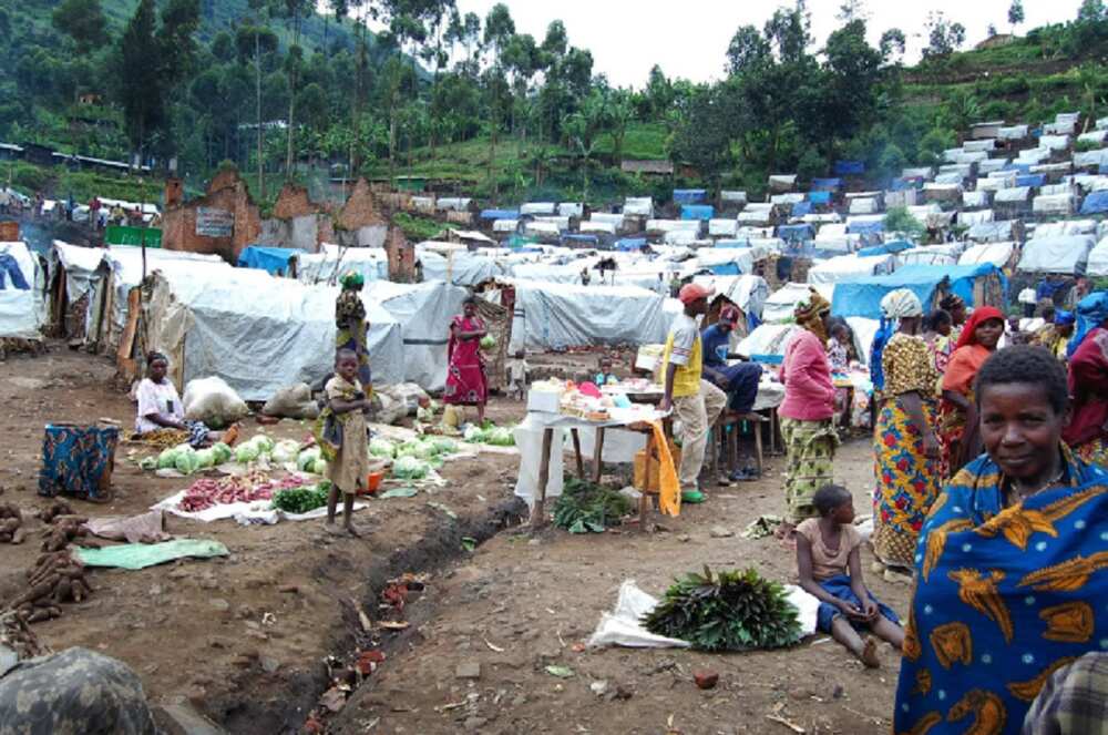 Boko Haram: CSOs commend FG for resettlement of displaced persons Boko Haram: CSOs commend FG for resettlement of displaced persons