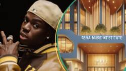 "Rema has invested over N200m": Details about singer's ongoing largest music school in Africa emerge