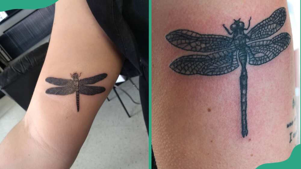 Black dragonfly tattoo