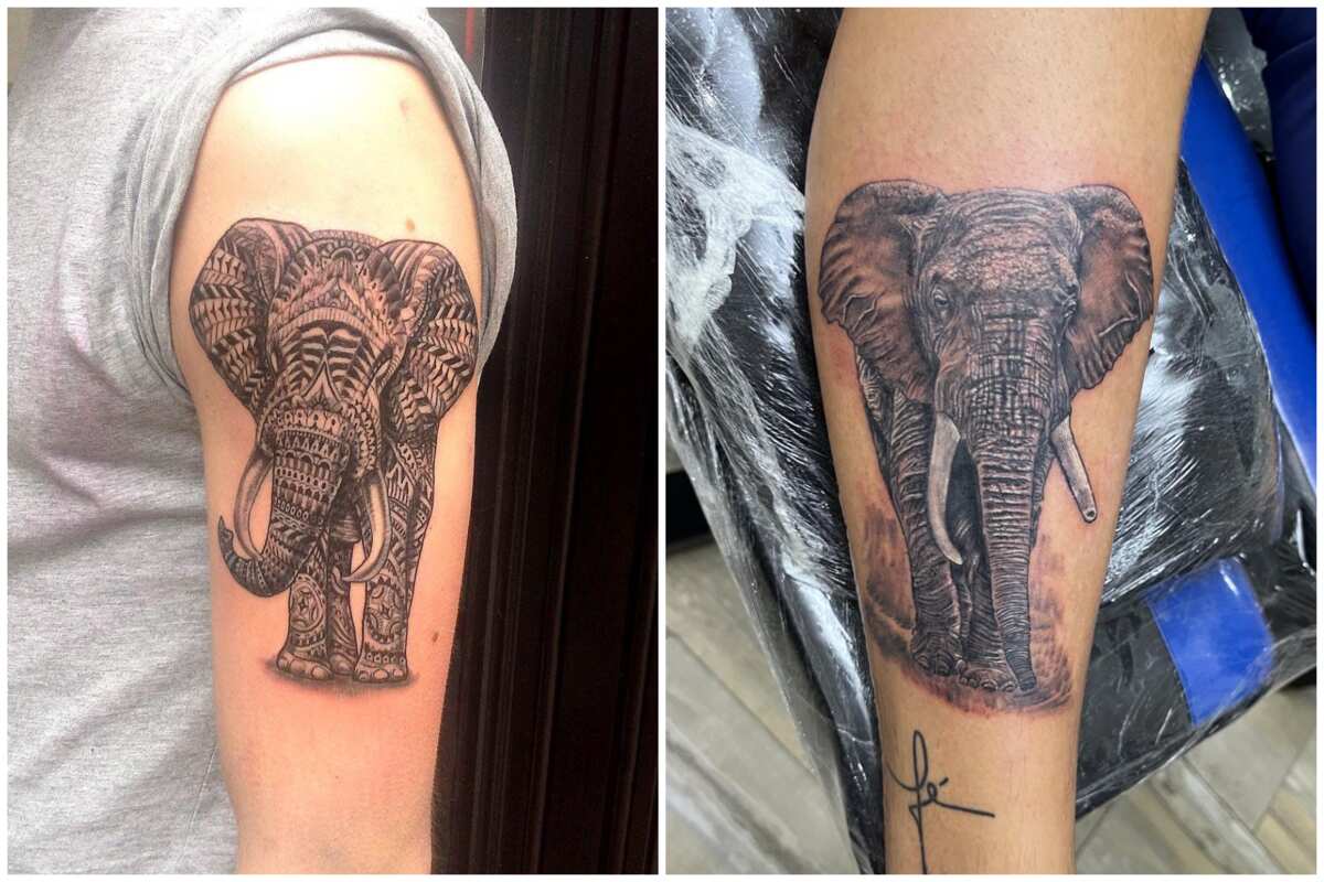 Elephant at Dark Age Tattoo Studio by JoseContrerasArt on DeviantArt